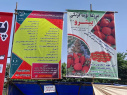غرفه فعالیت‌های فرهنگی و آموزشی مرکز آموزش‌های تخصصی کوتاه‌مدت جهاد دانشگاهی شهرستان فومن در جشنواره توت‌فرنگی